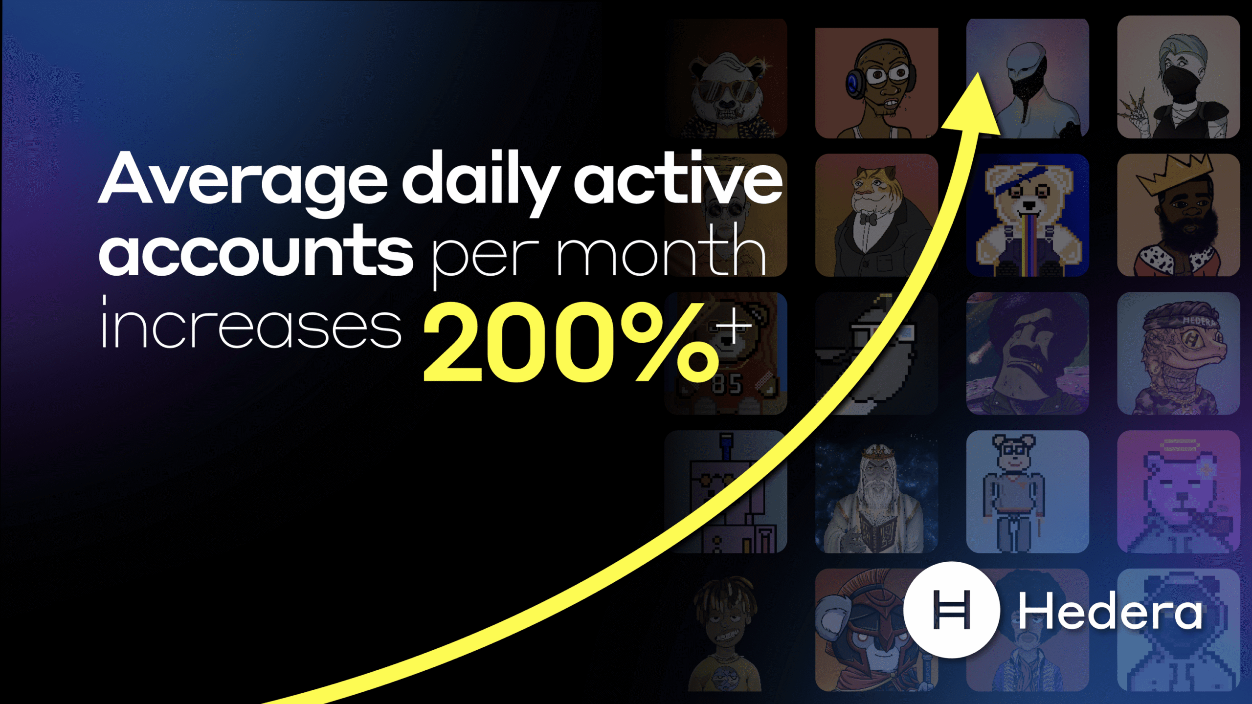

<p>Average daily active accounts increased by over 200% over the period</p>
<p>“/><figcaption class=
