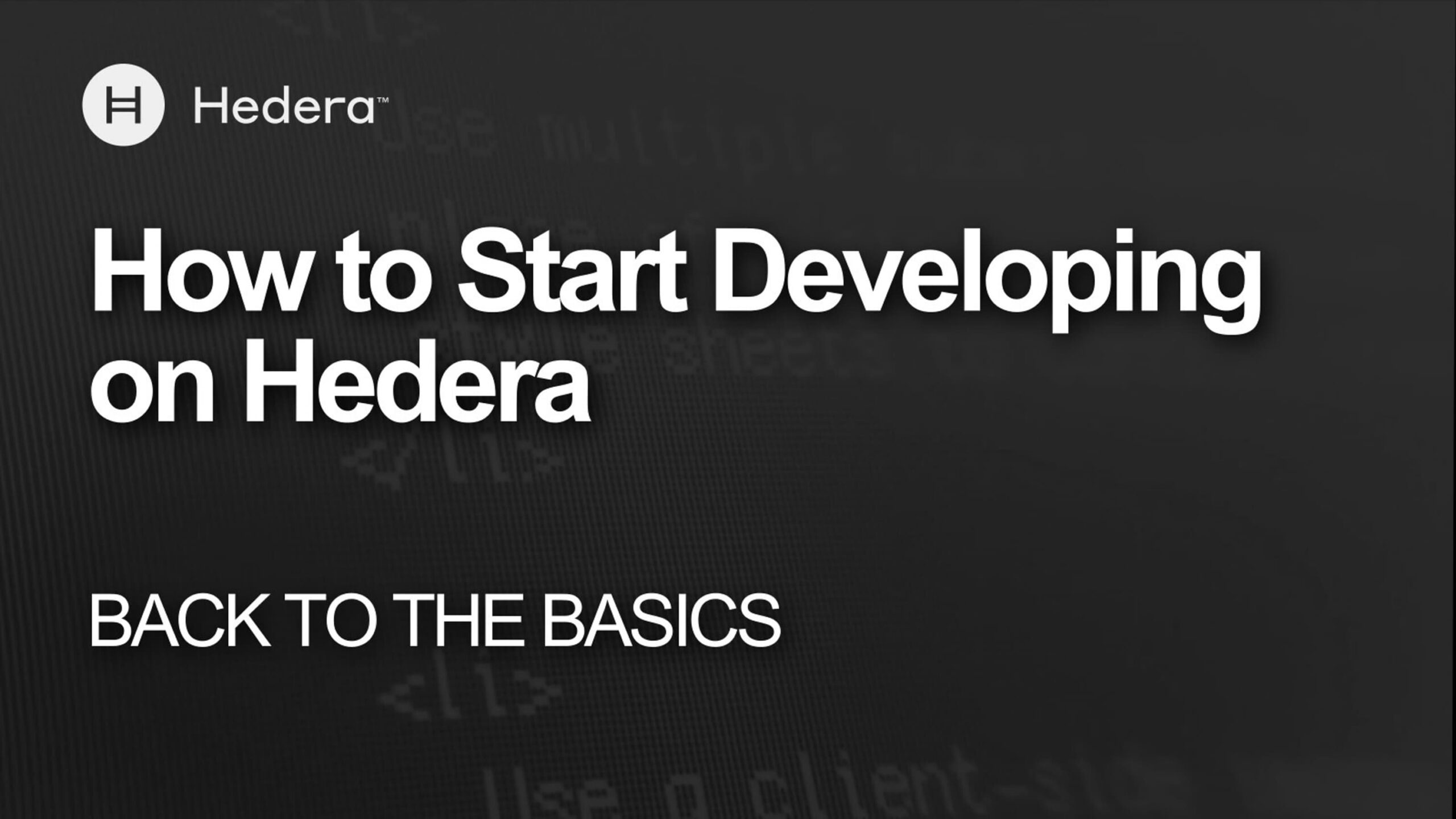 How to Start Developing on Hedera: Back to the Basics | Hedera