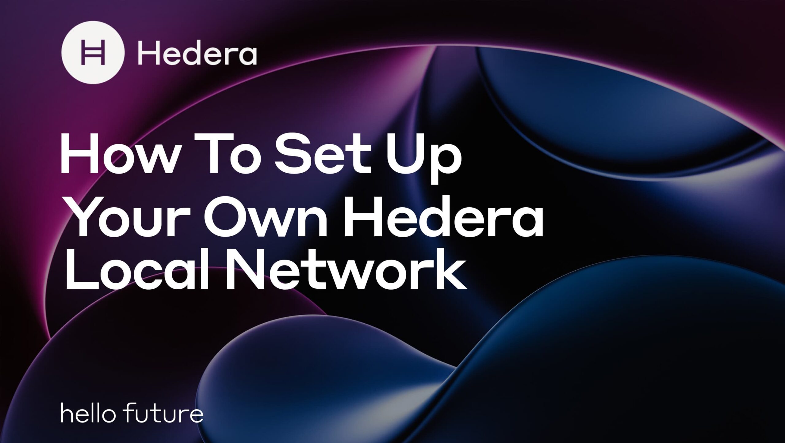 How to Set Up Your Own Hedera Local Network Using Docker | Hedera
